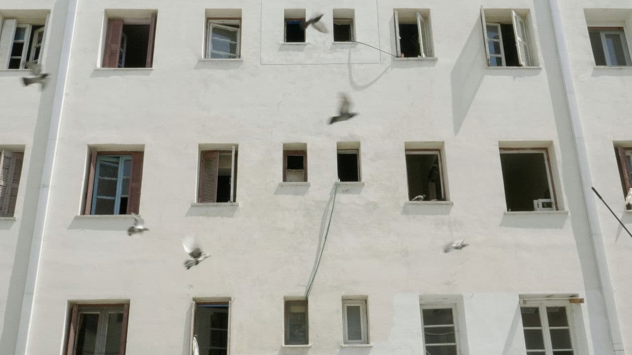 Forget Alberto for Now