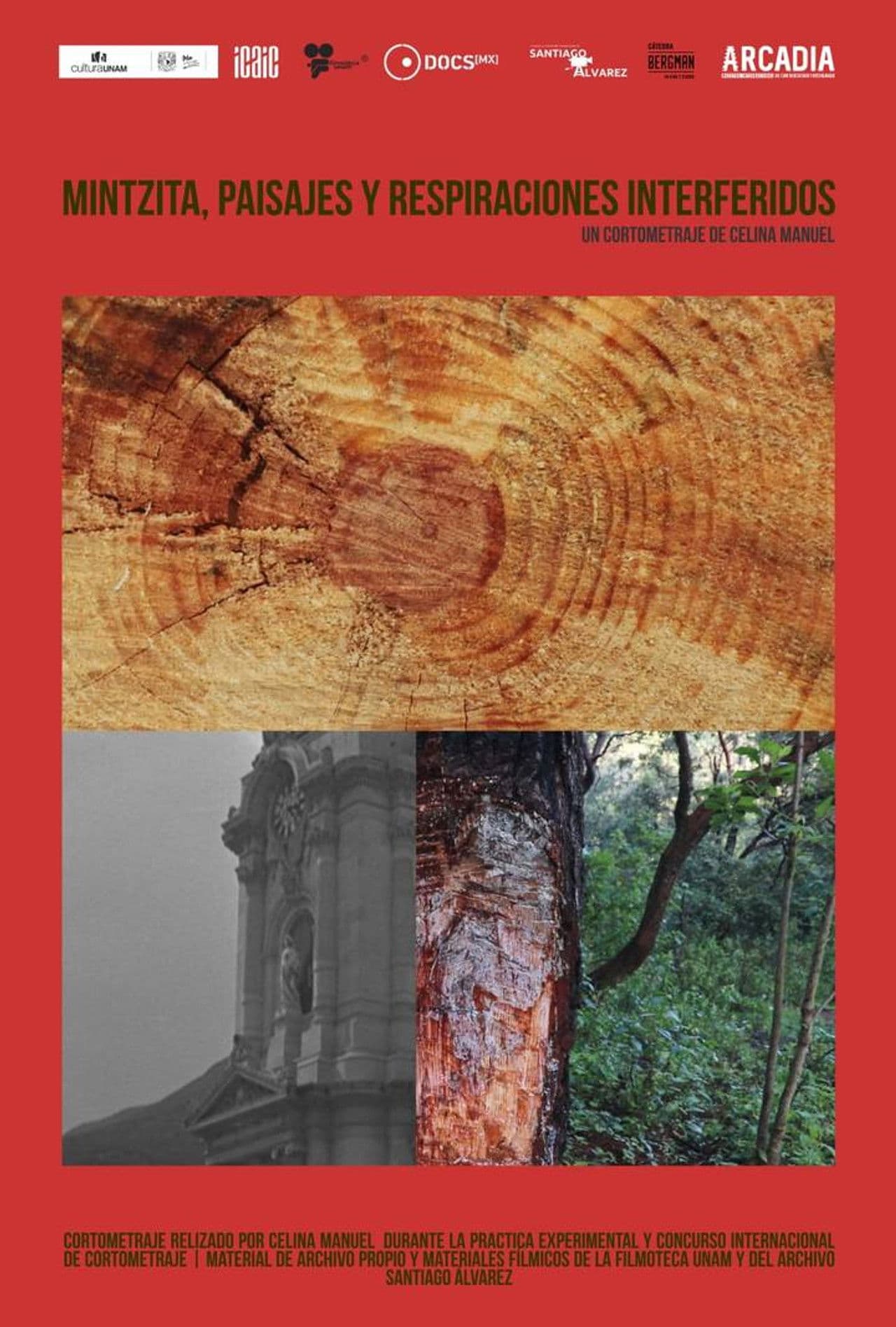 Mintsita, paisajes y respiraciones interferidos