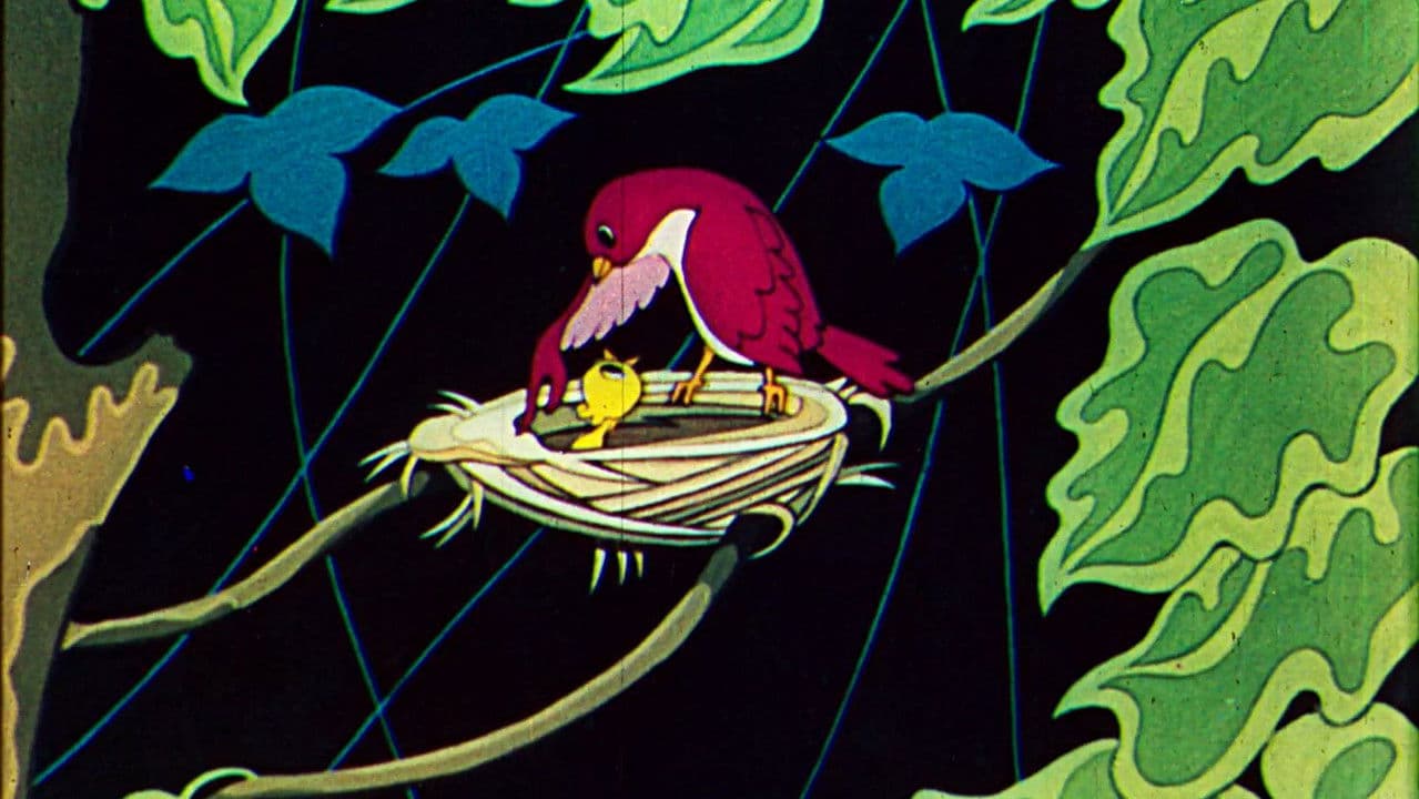 The Secret of the Cuckoo