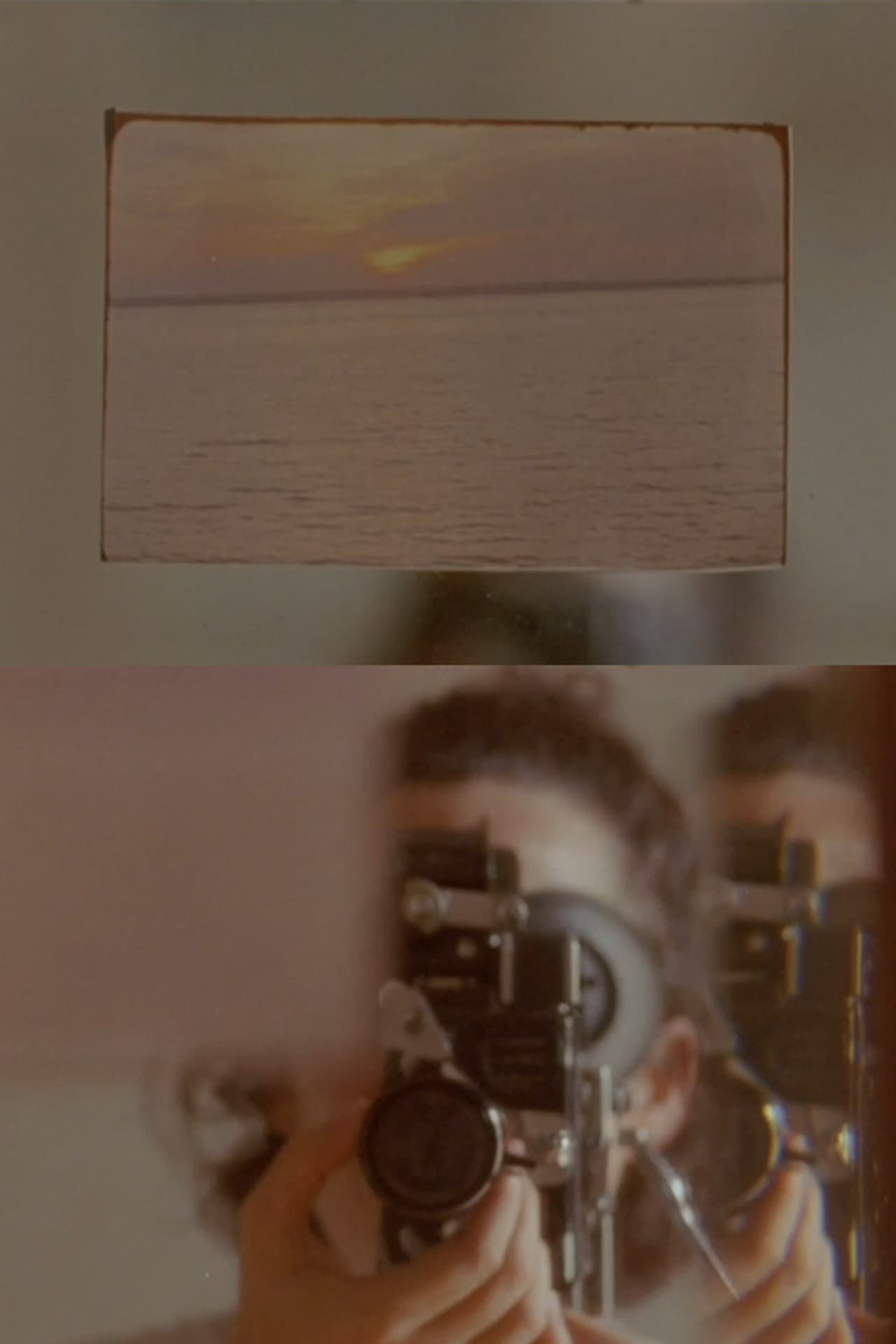 Aparición, pétalo y lengua