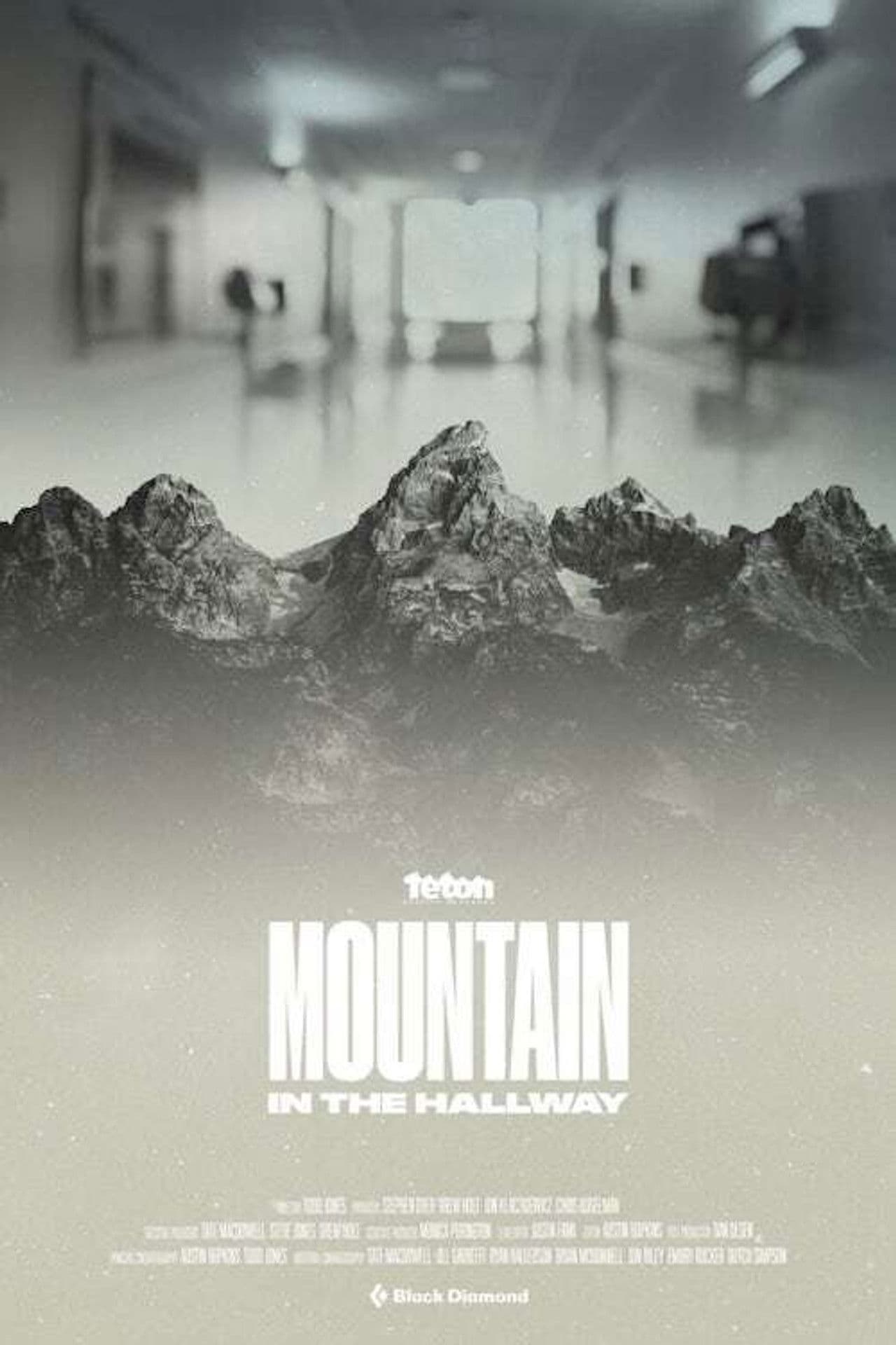 Mountain in the Hallway