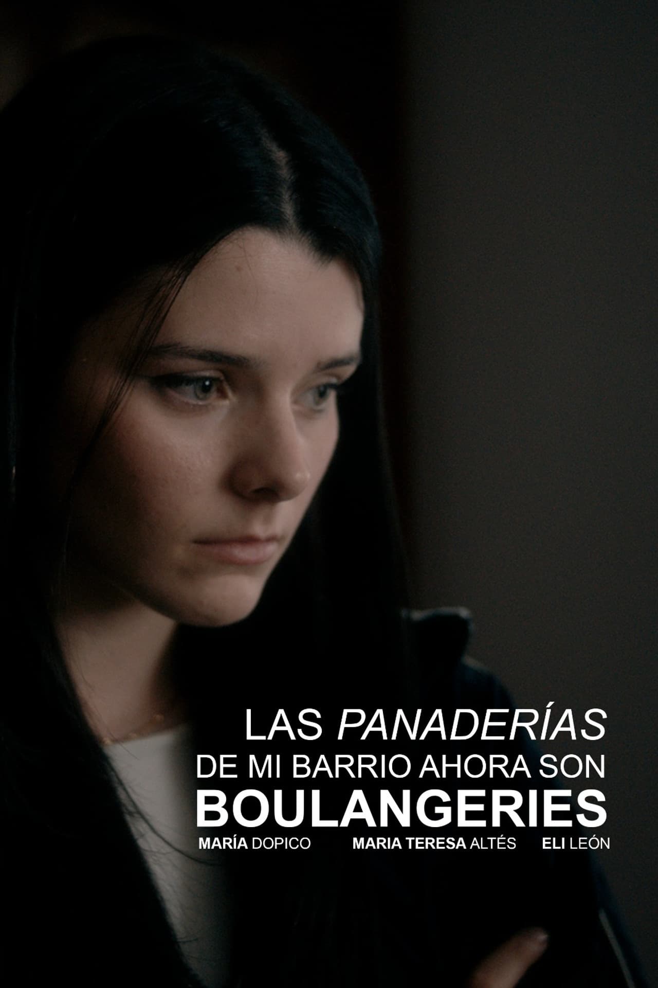 The bakeries in my neighborhood are boulangeries now