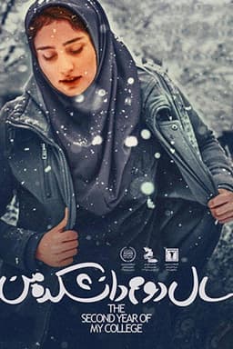 My Second Year in College