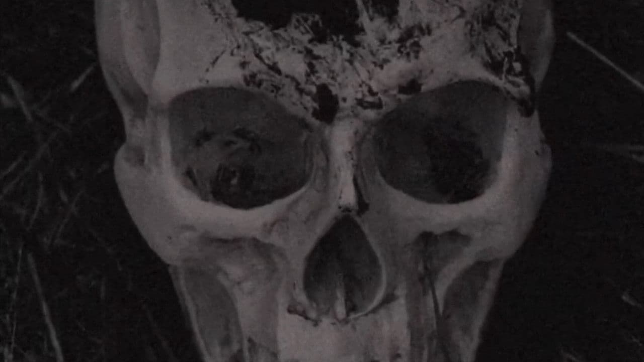 The Volition Of A Bygone Priest