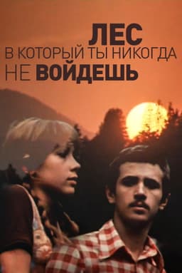 The Forest You'll Never Enter