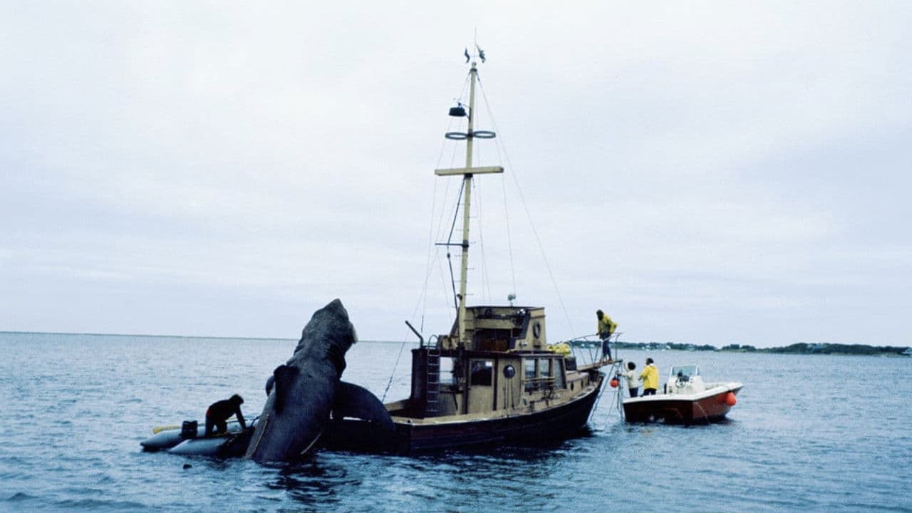 In the Teeth of Jaws