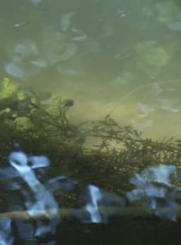 Heartbroken for Good