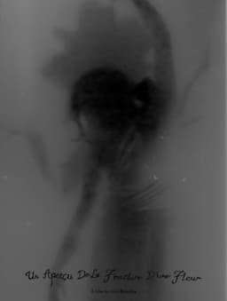 Un Aperçu De La Fracture D’une Fleur