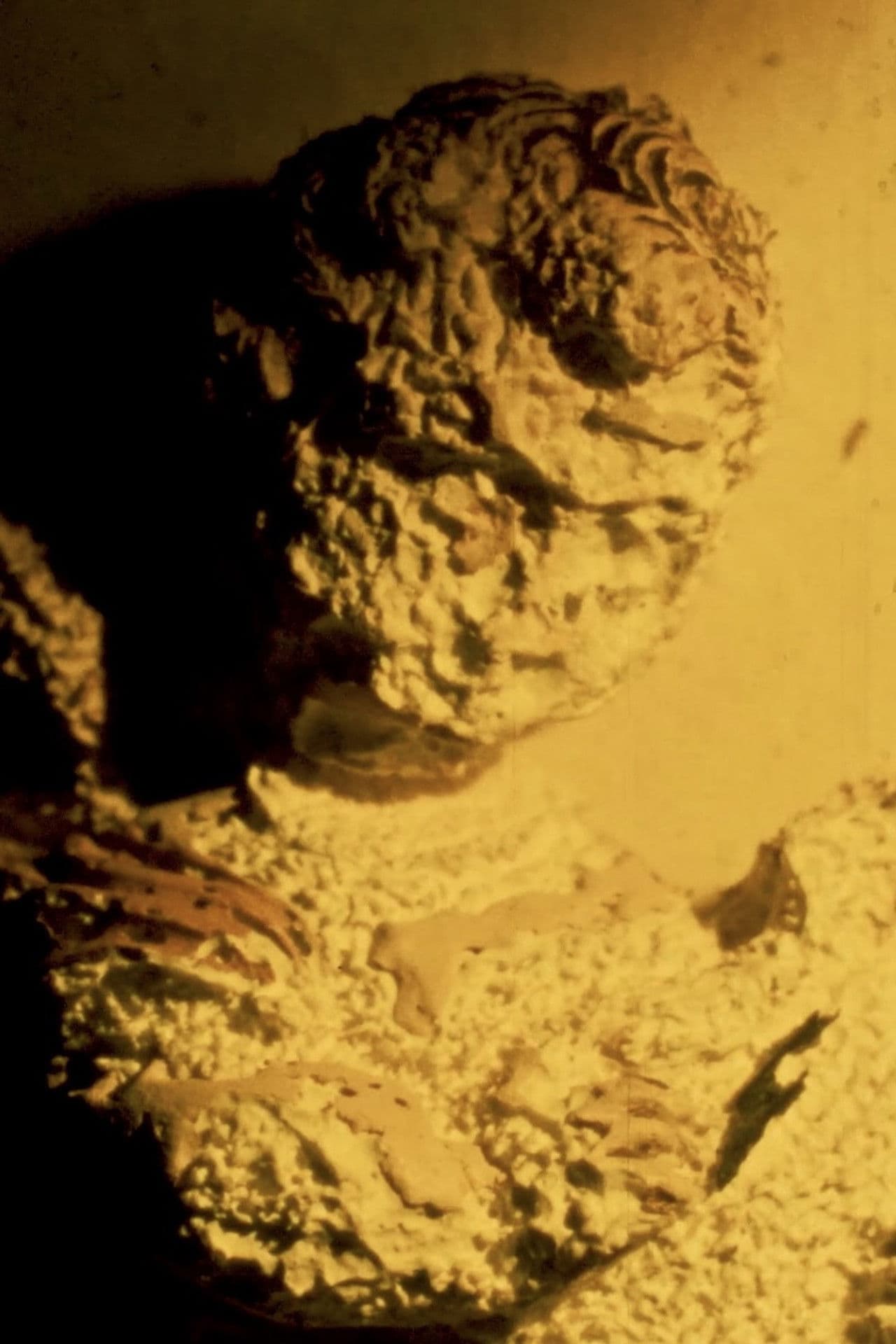 Altar Boy and His Sins