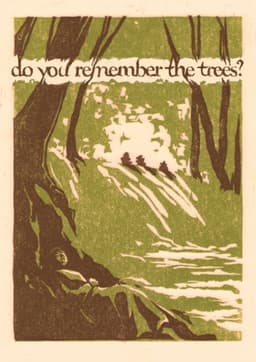 do you remember the trees?