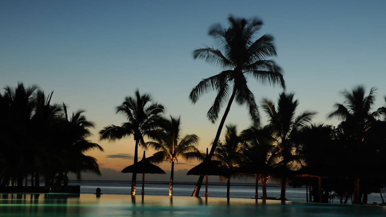 Die letzten Paradiese