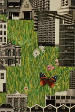 Butterfly R.I.P. 1975