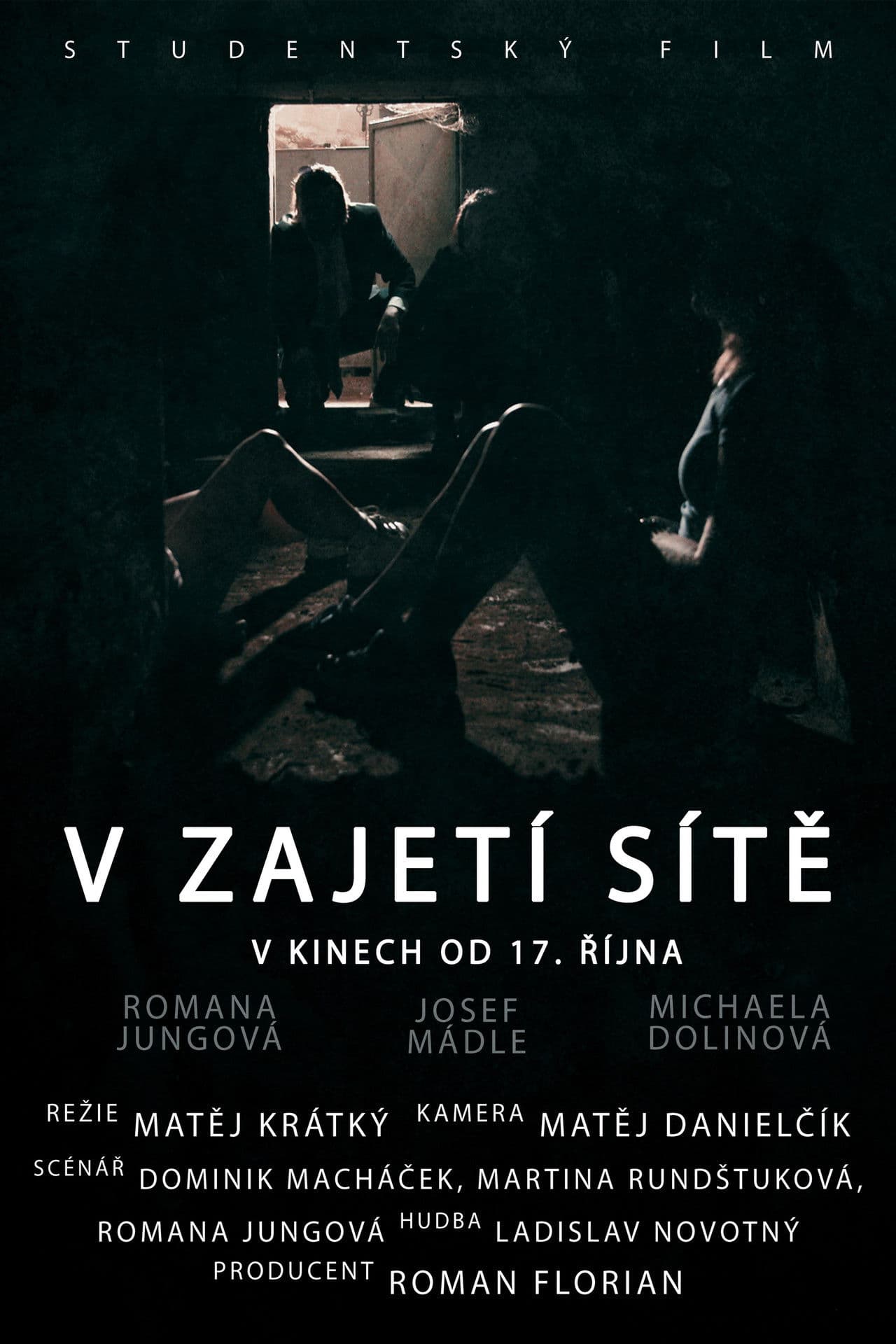 V zajetí sítě