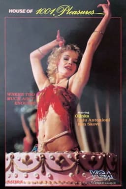 House of 1001 Pleasures