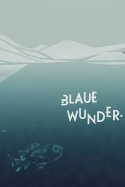 A Thousand Questions and One Miracle