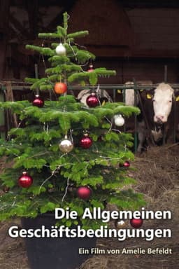 Terms and Conditions