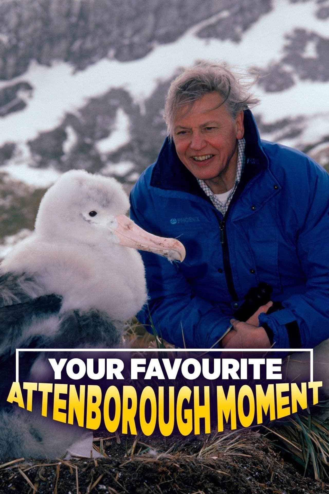 Your Favourite Attenborough Moment