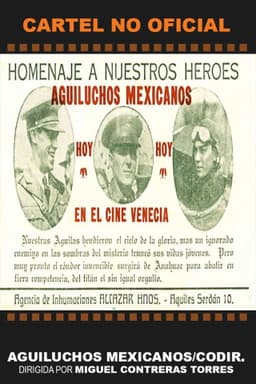 Aguiluchos mexicanos
