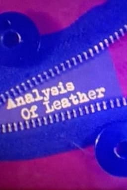 Analysis of Leather