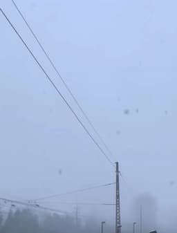 I Was Very Tactful, I Didn’t Even Abbreviate “Mrs.”