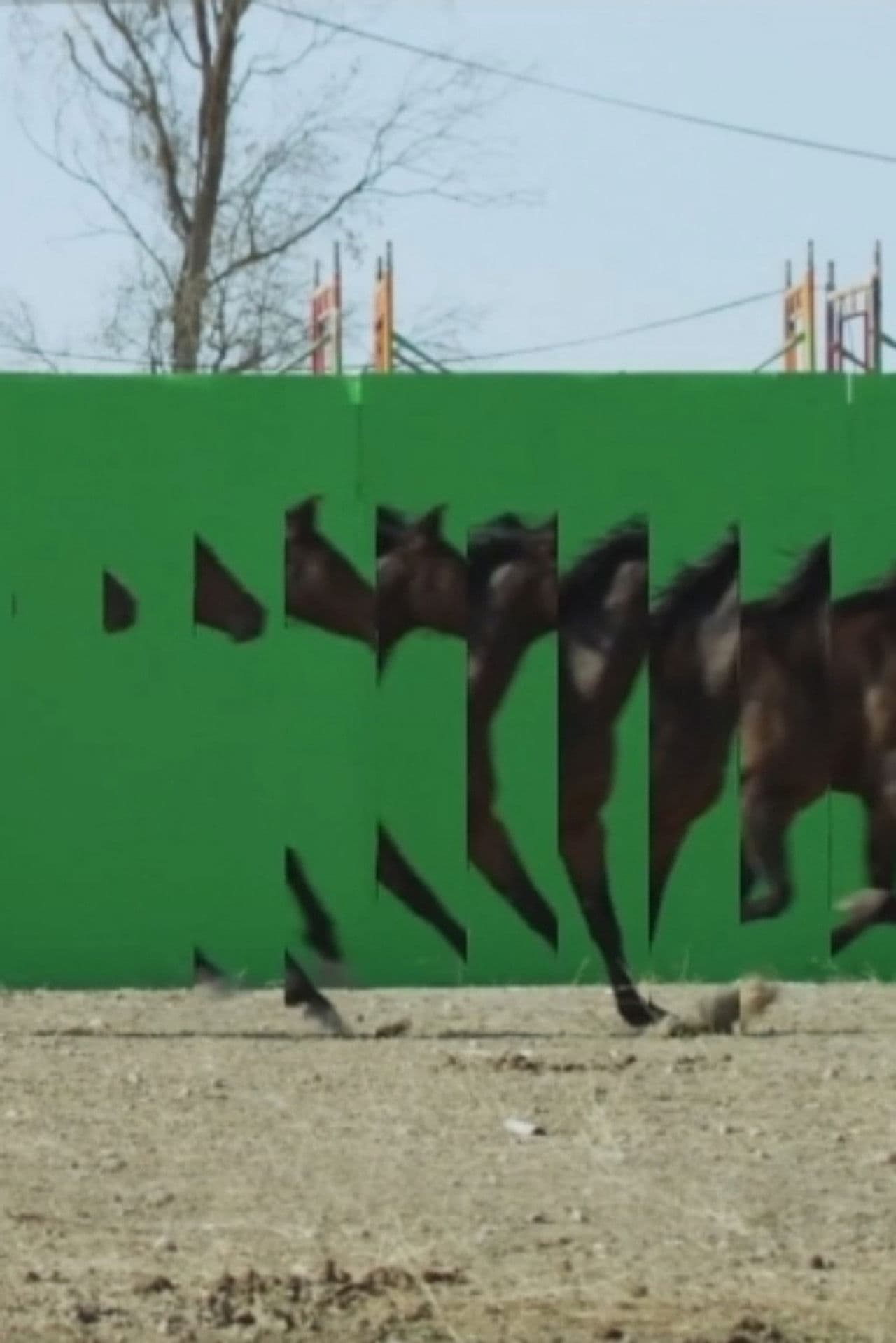 Playgrounds In Motion