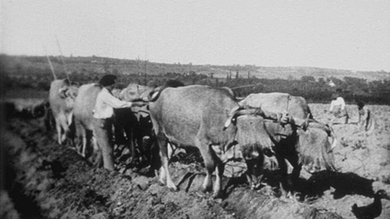 Ploughing