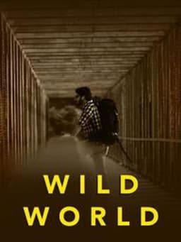 Wild World