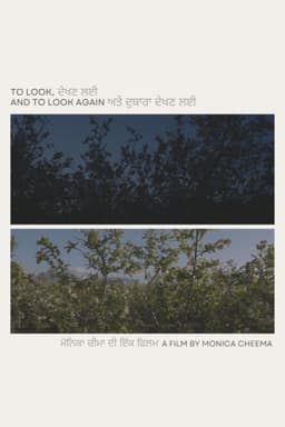 To Look, and to Look Again