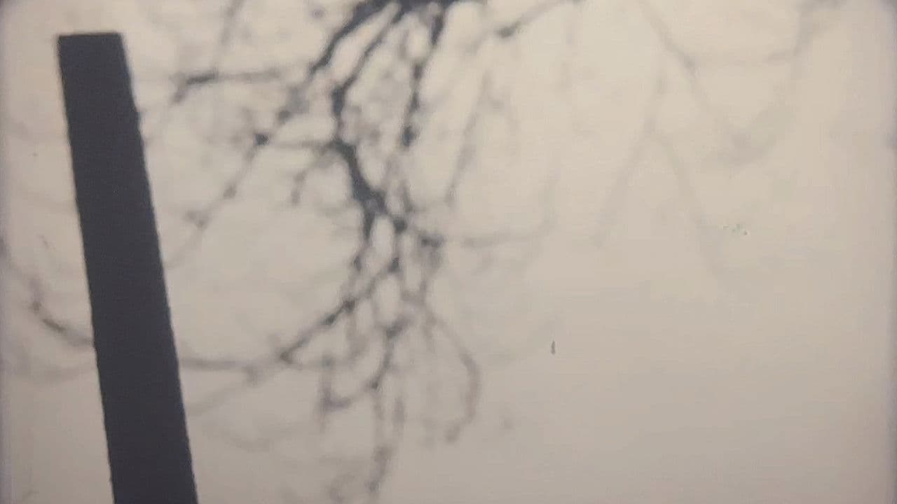 Your Death is My Delight