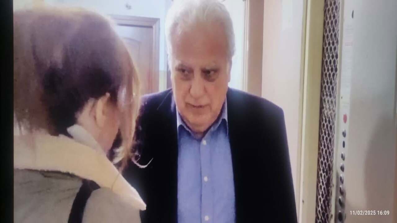 THE GOLDFISH AND THE TRUTH