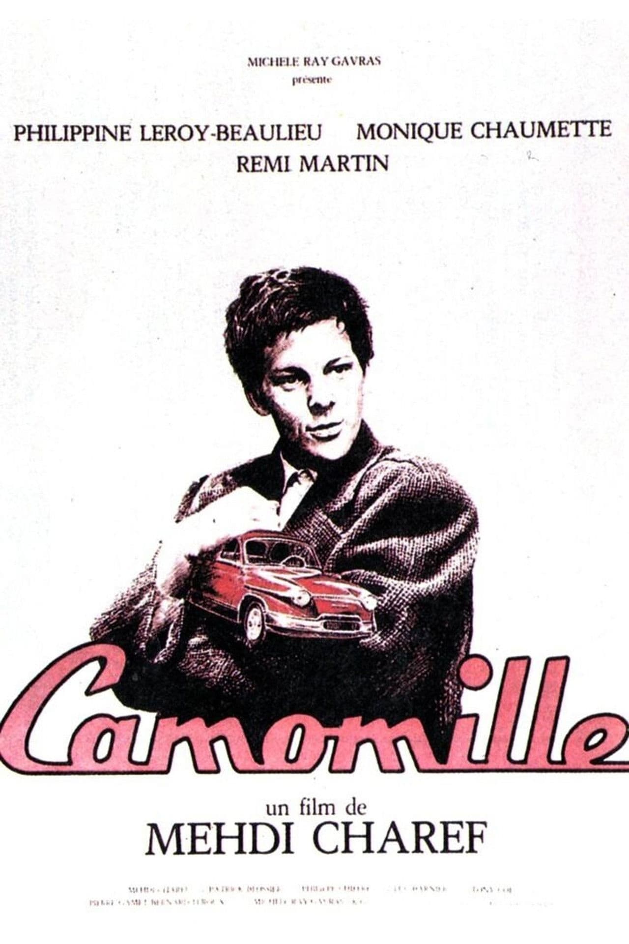 Camomille