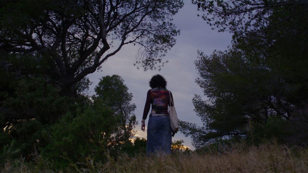 Les Grenouilles dans la Piscine