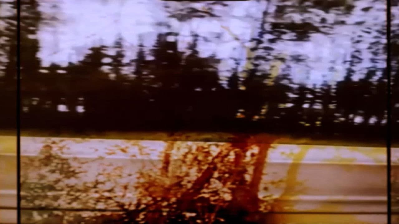 Grasping The Stance Of Witness