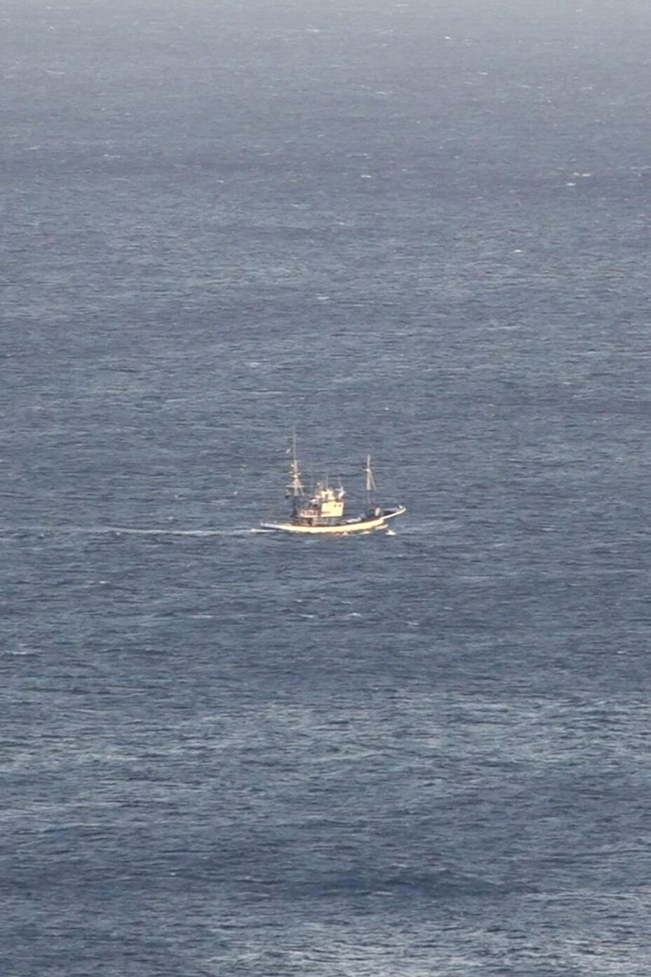 Three Days, My Friend