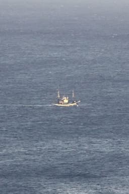 Three Days, My Friend