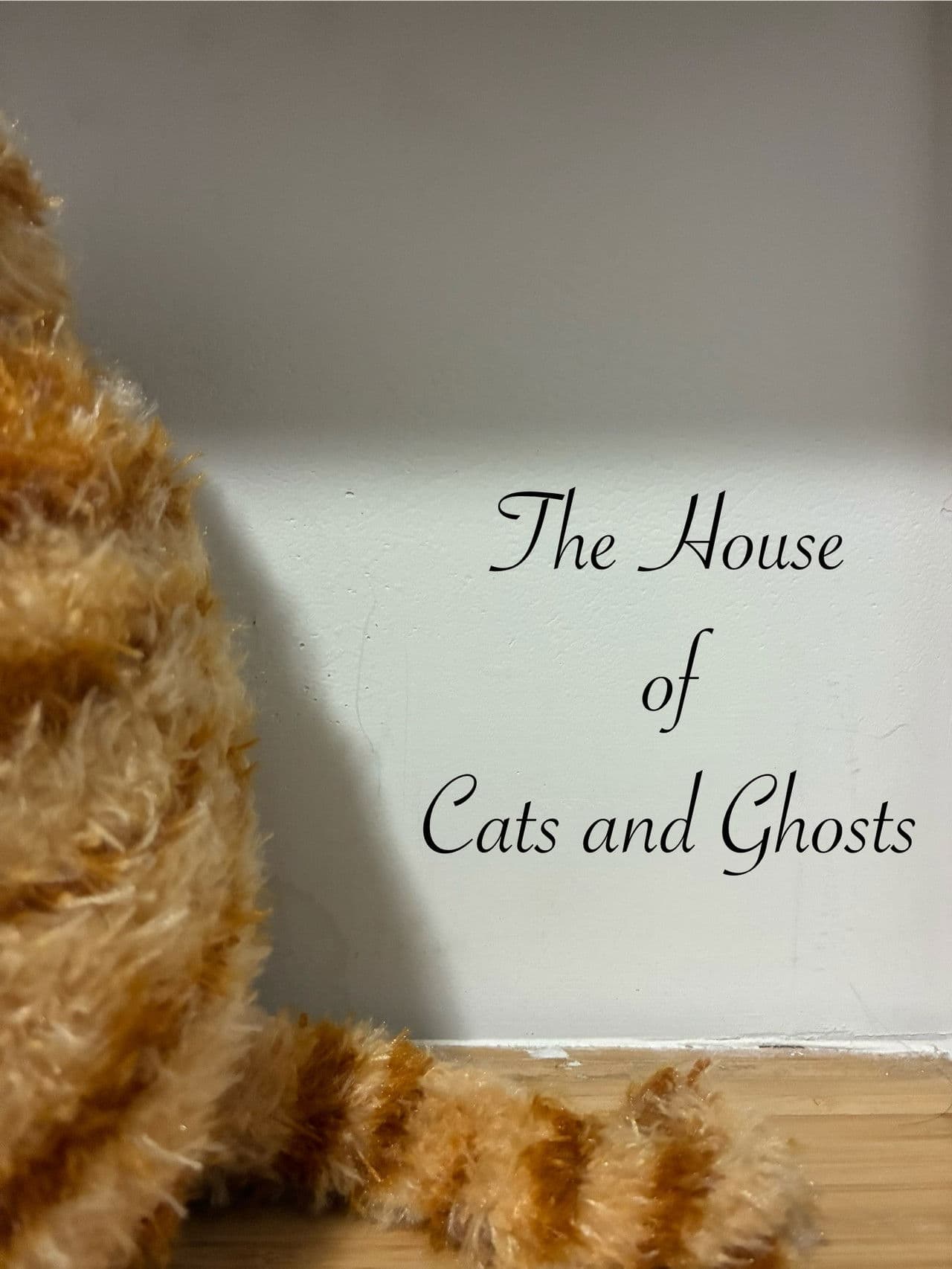 The House of Cats and Ghosts