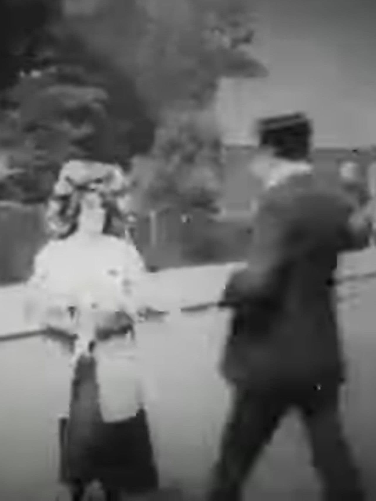 Lost, Stolen or Strayed