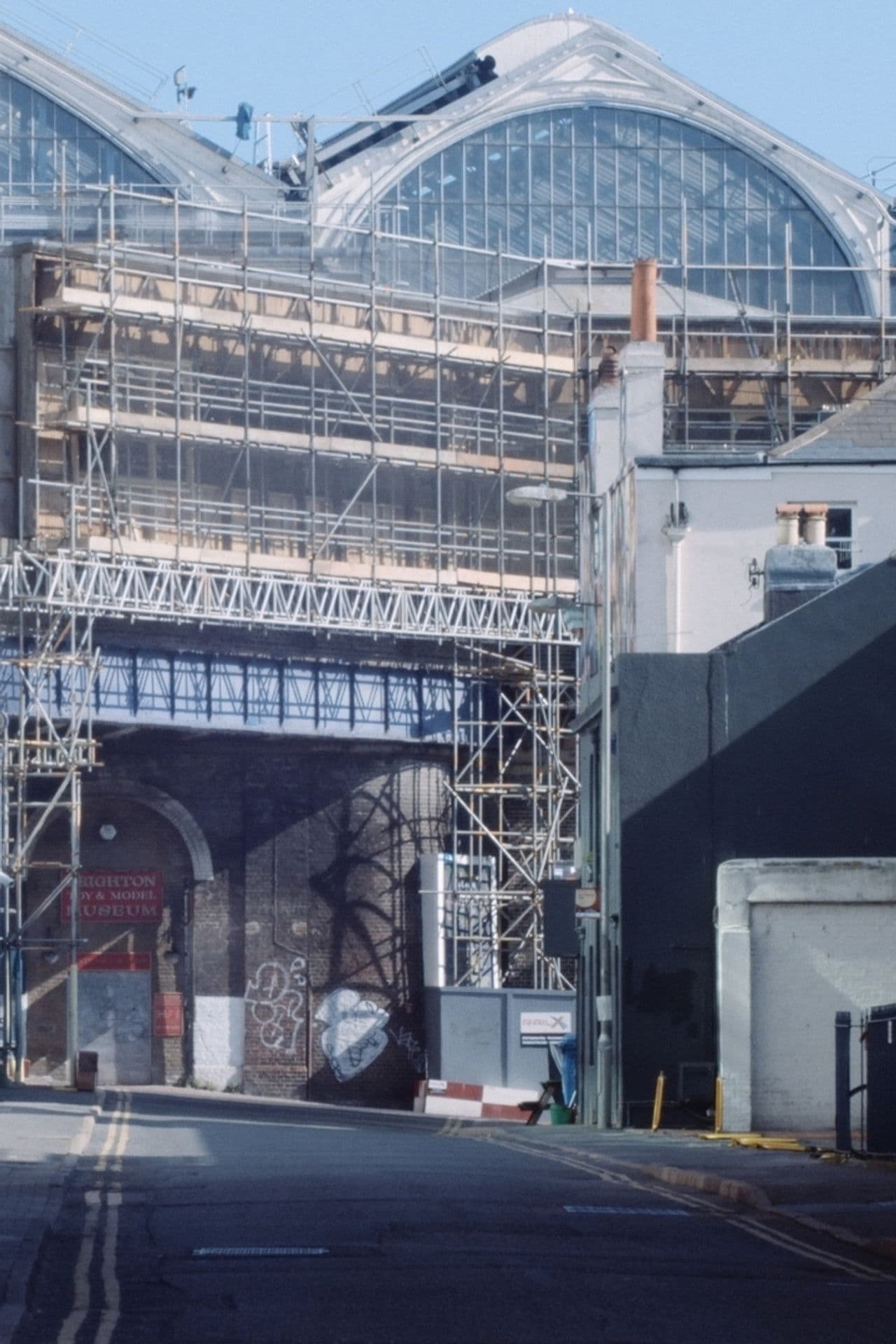 A Spring in Endless Bloom