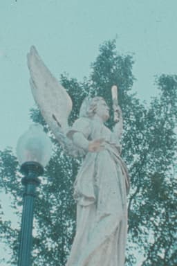 How old do you want to be when you die?