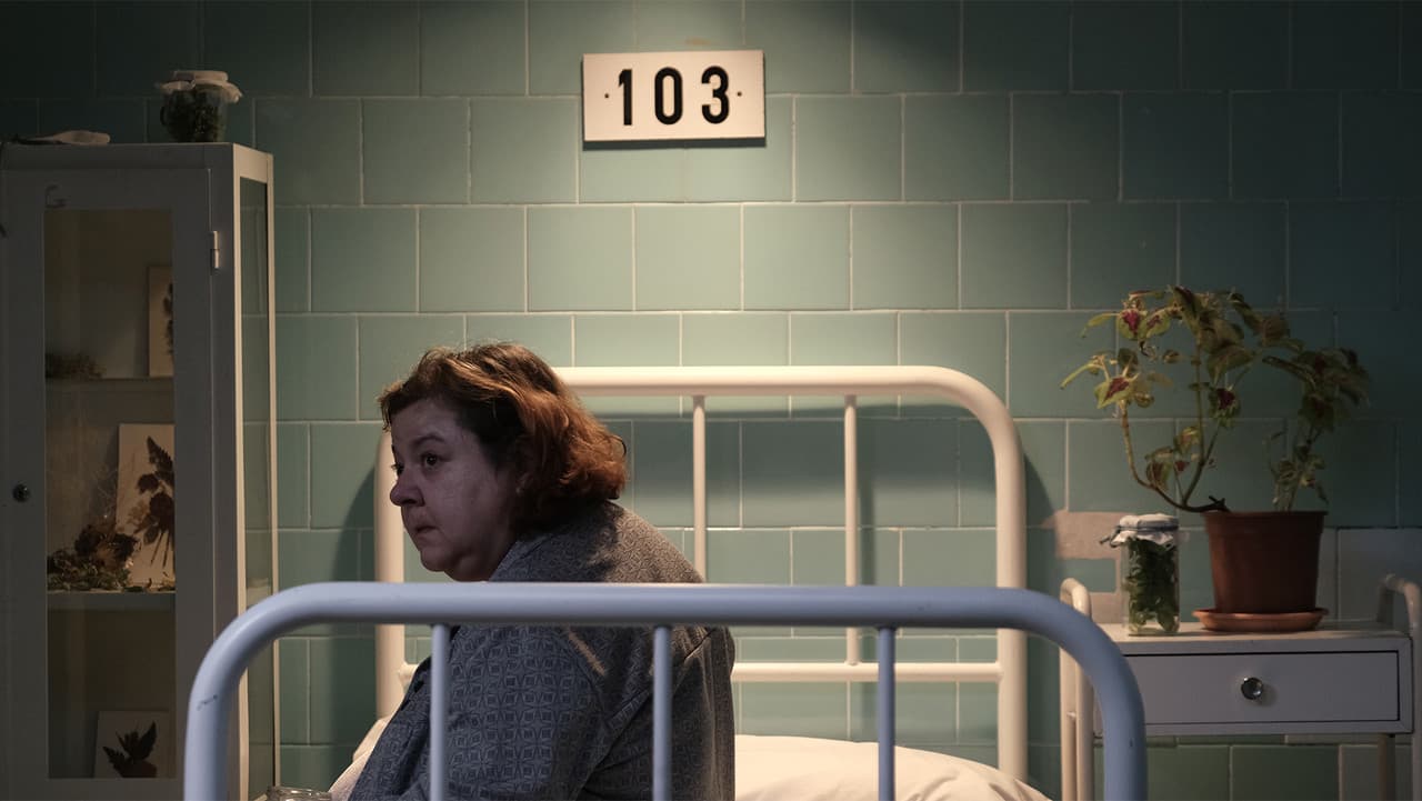 Buscant el meu propi nom