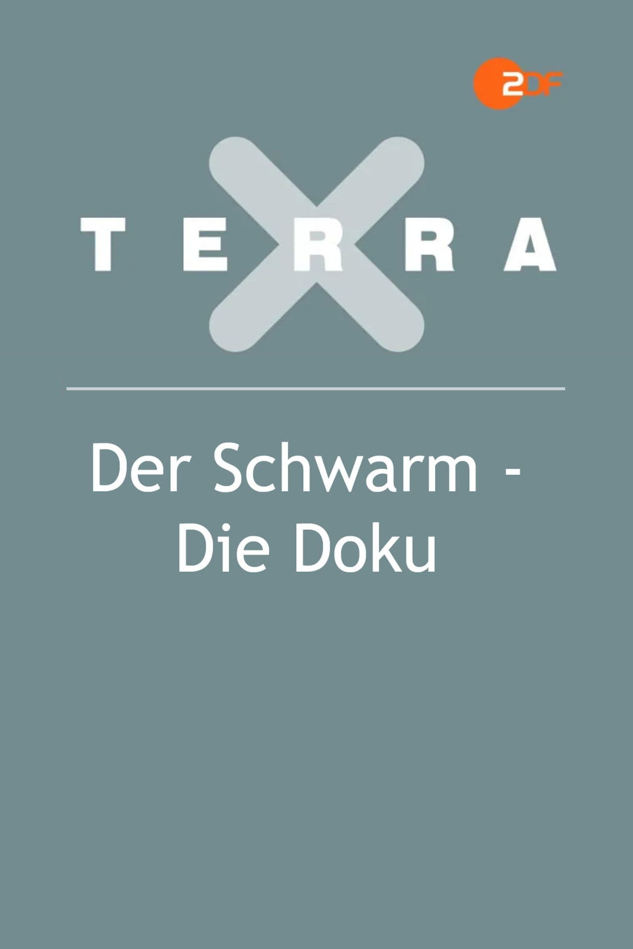 Der Schwarm - Die Doku