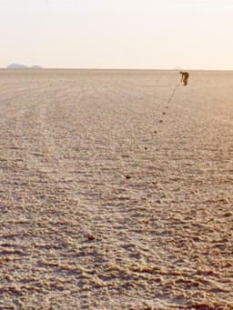 Of Seeing in Salt. Or: Ten Strategies to Face the Own Finitude in an Infinity