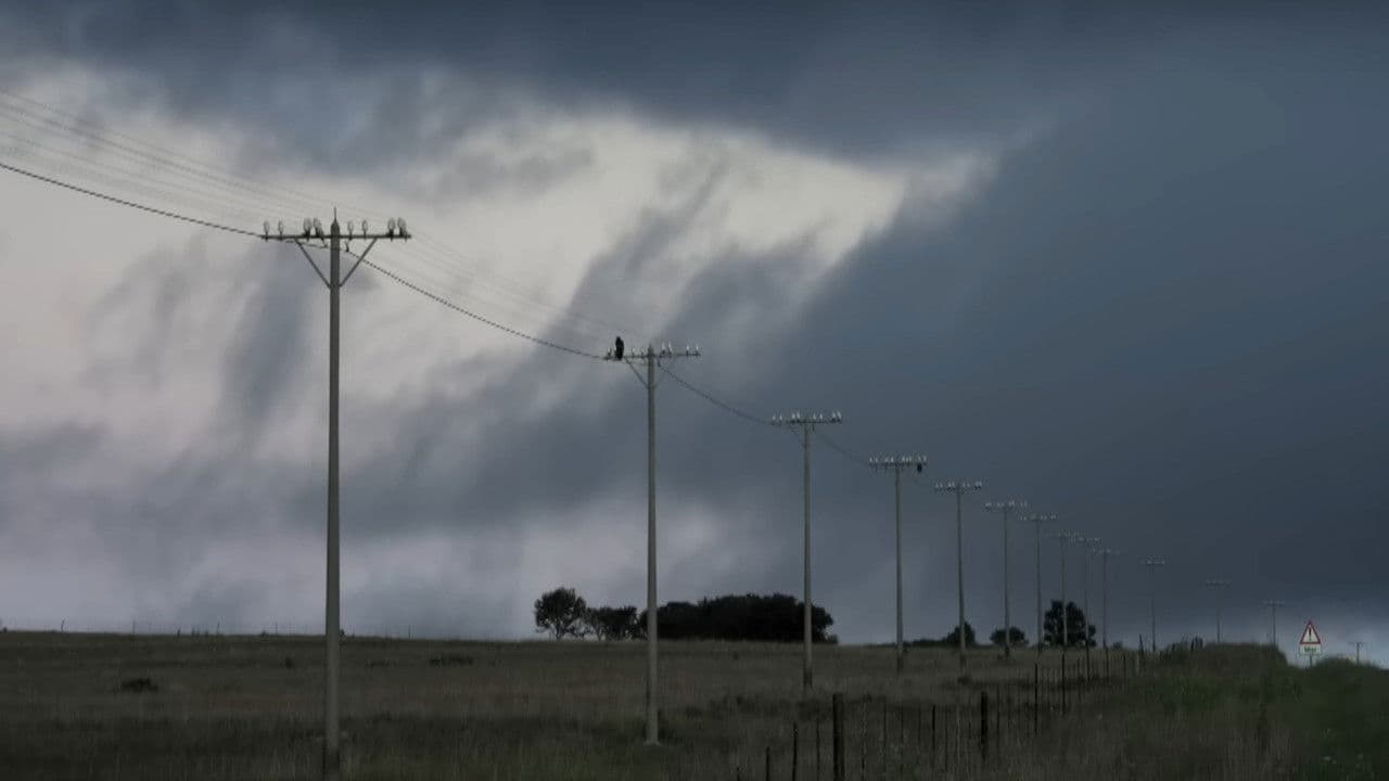 The Apartheid Killer