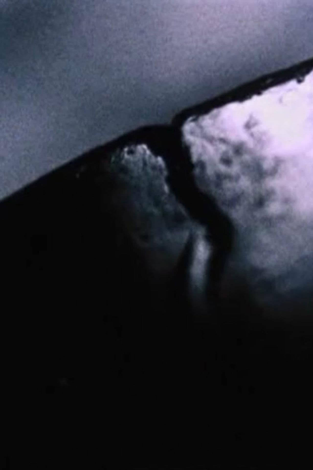 Differentiation of Breath