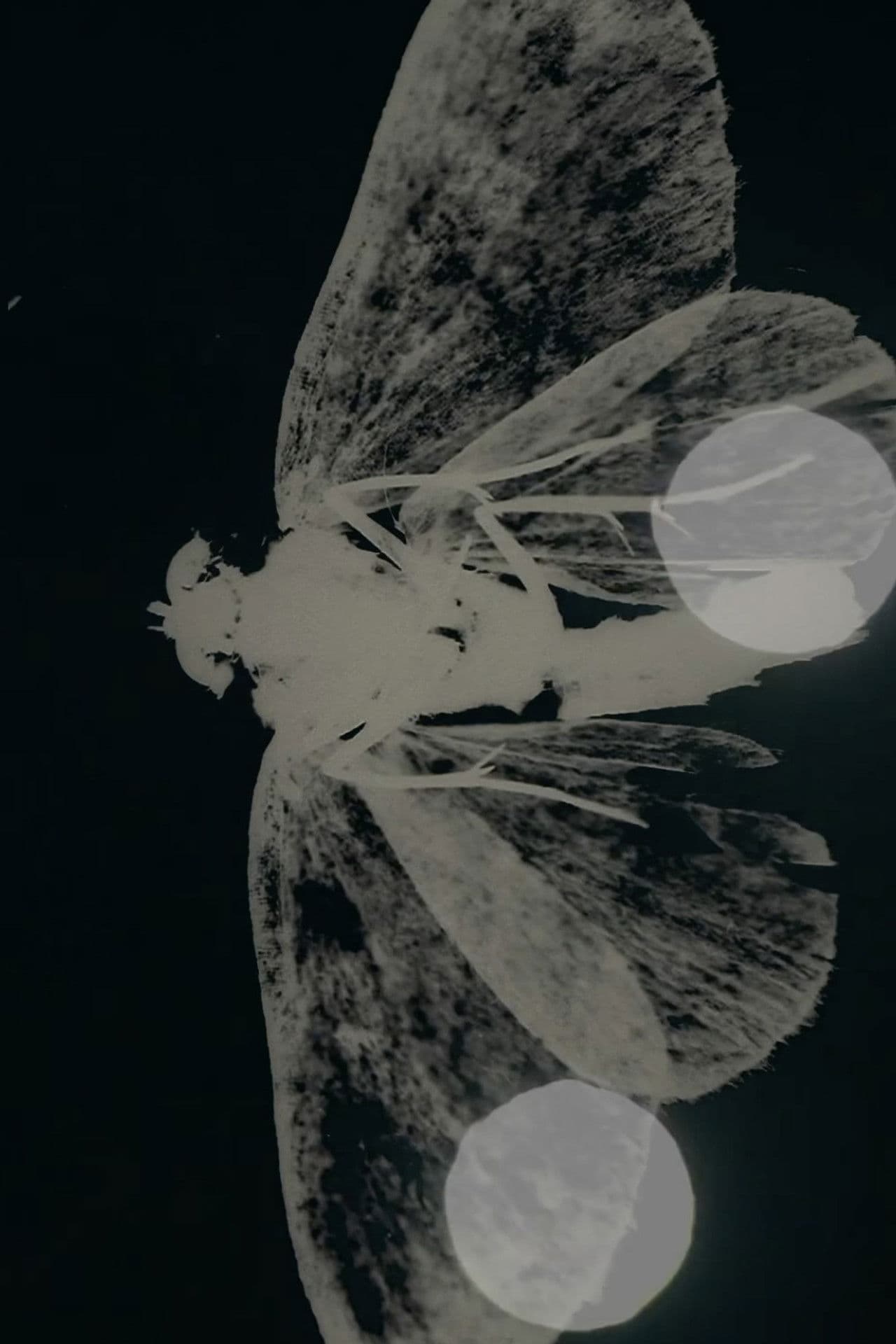 SECRET MESSAGE - Other Wise