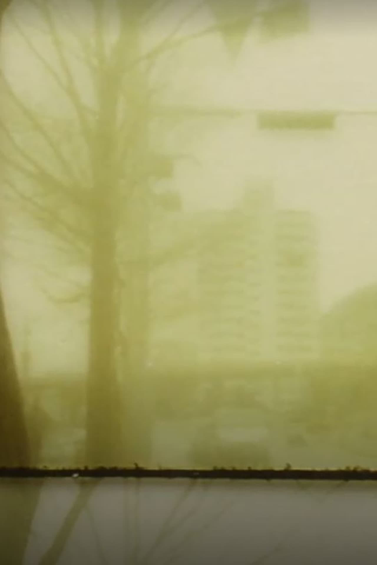 The Anonymous people