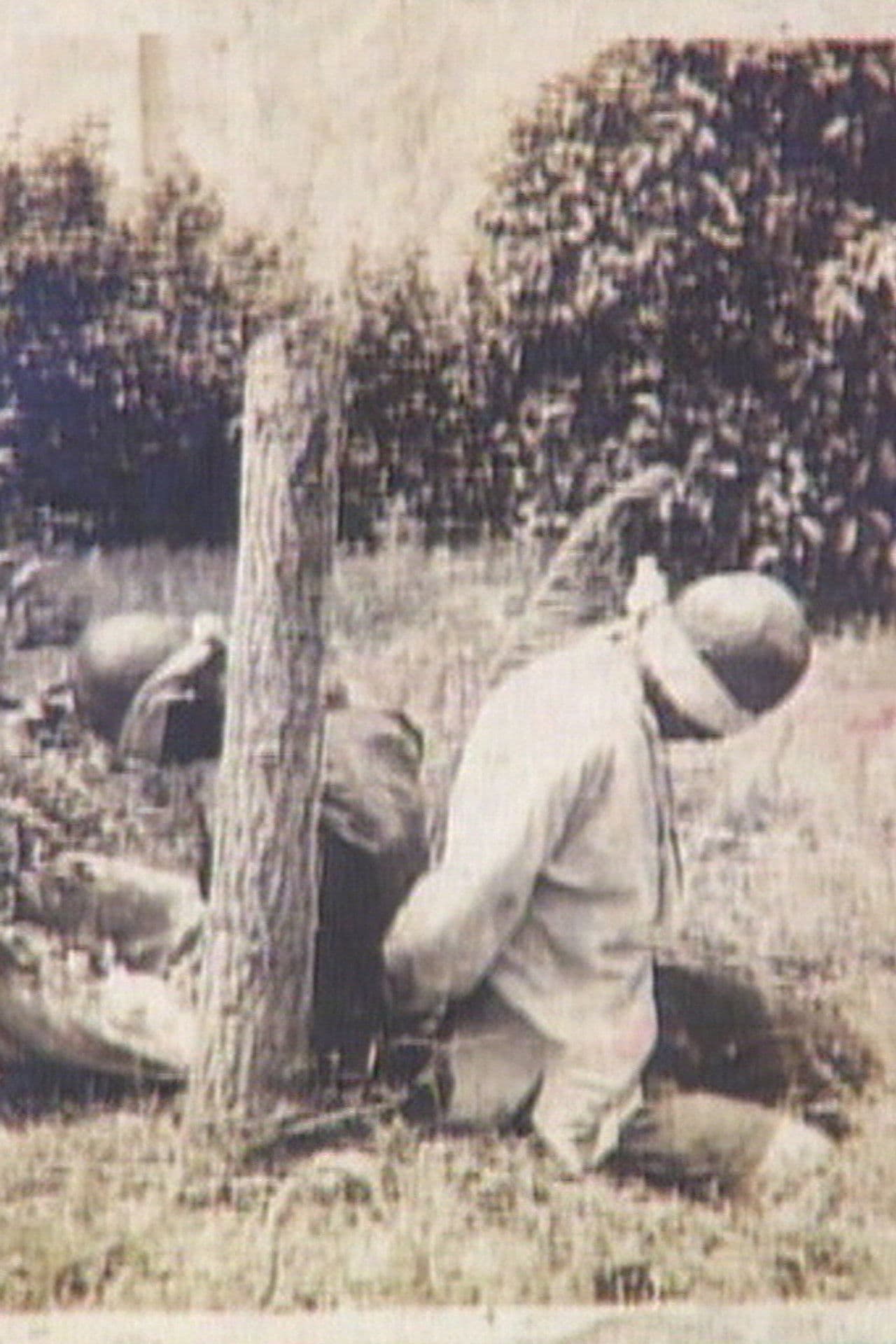 Blood Testament of Nanjing