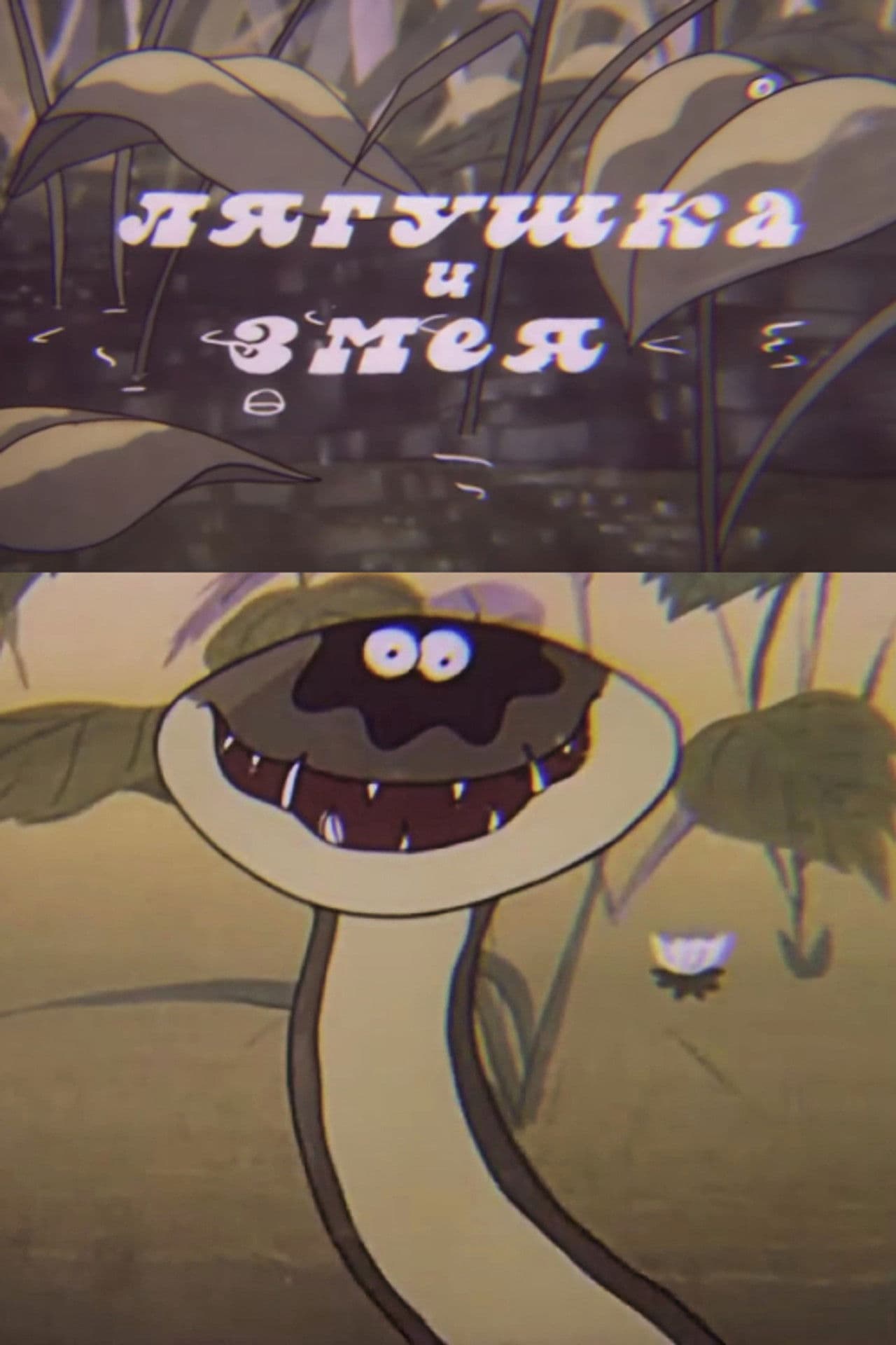 The Frog and the Snake