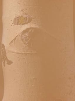 And Their Eyes Are Not Watching Us