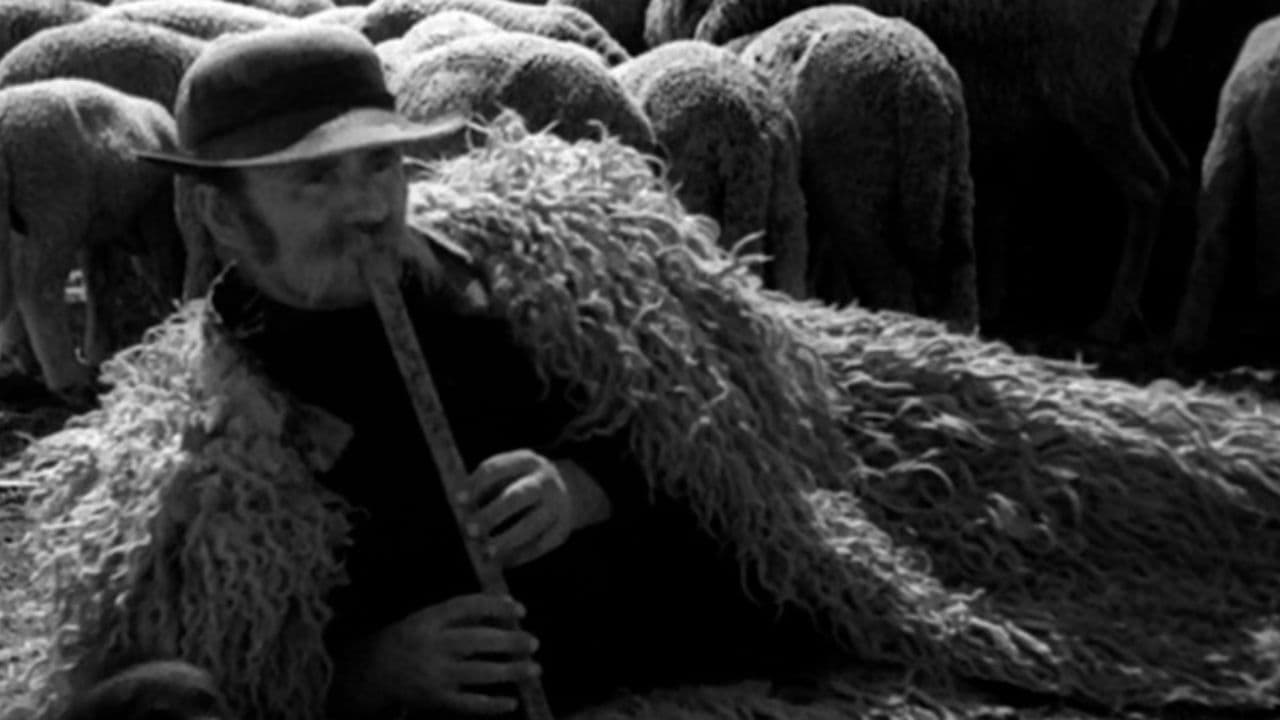 Life on the Hortobagy